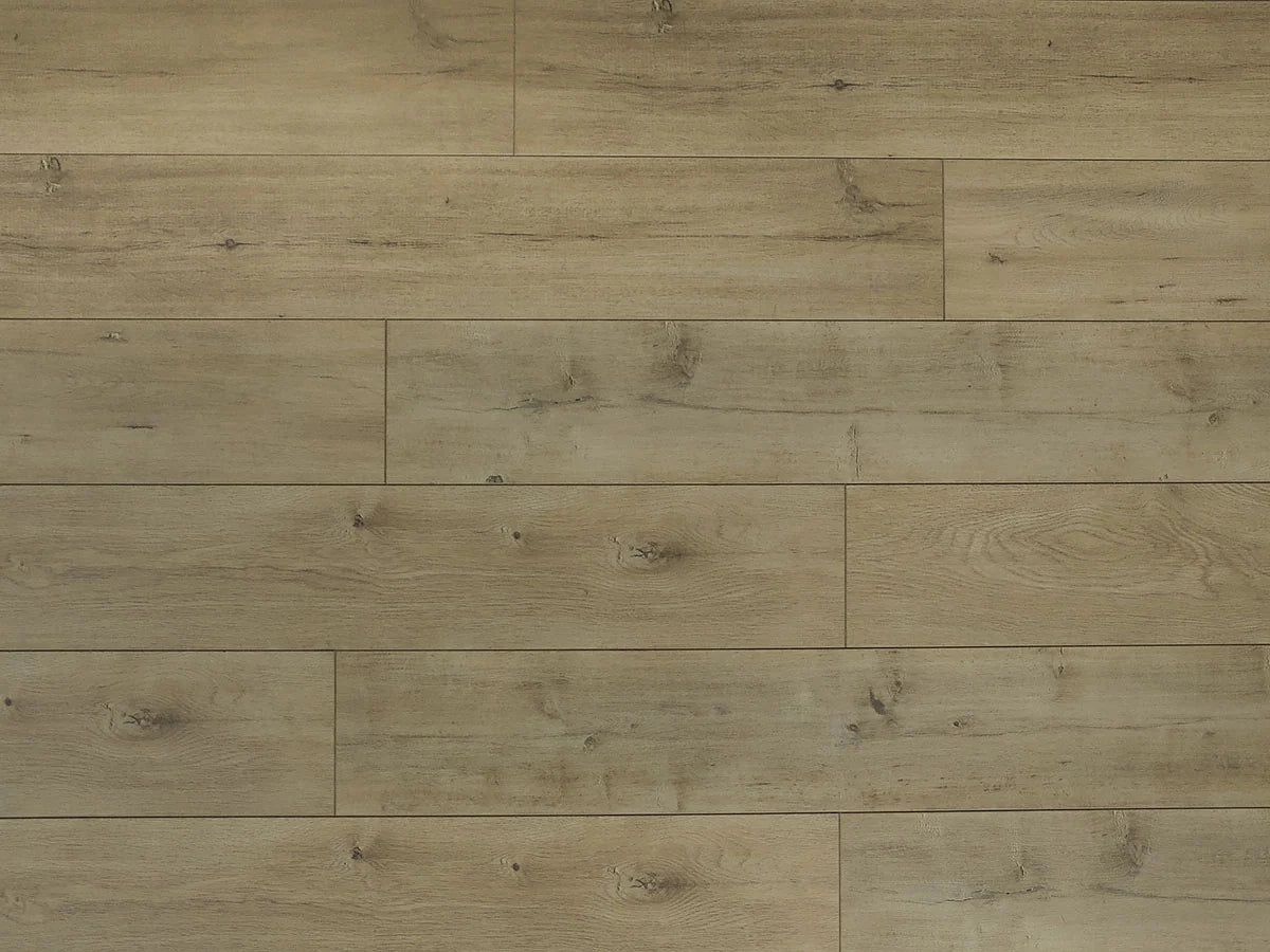 Shore Laminate Flooring - TF6301-F