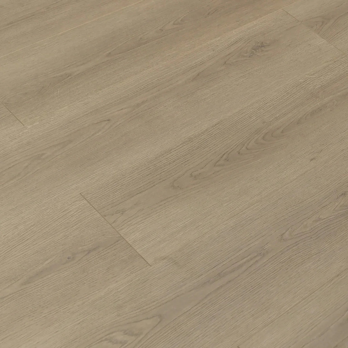 Canadian goose Laminate Flooring - TF8306-F