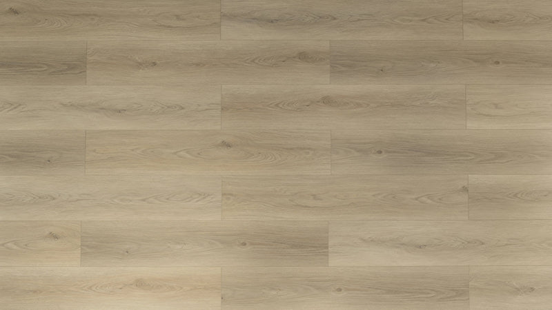 Boreal Light SPC Vinyl Flooring - TFSPC8605-F