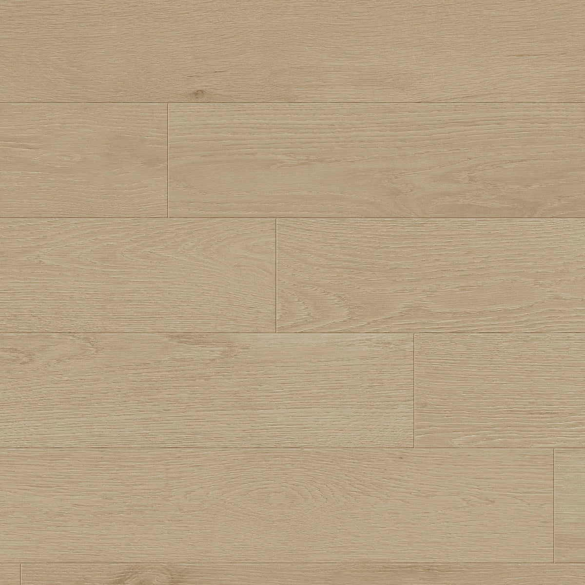 Oyster Engineered Hardwood Flooring - TCN101