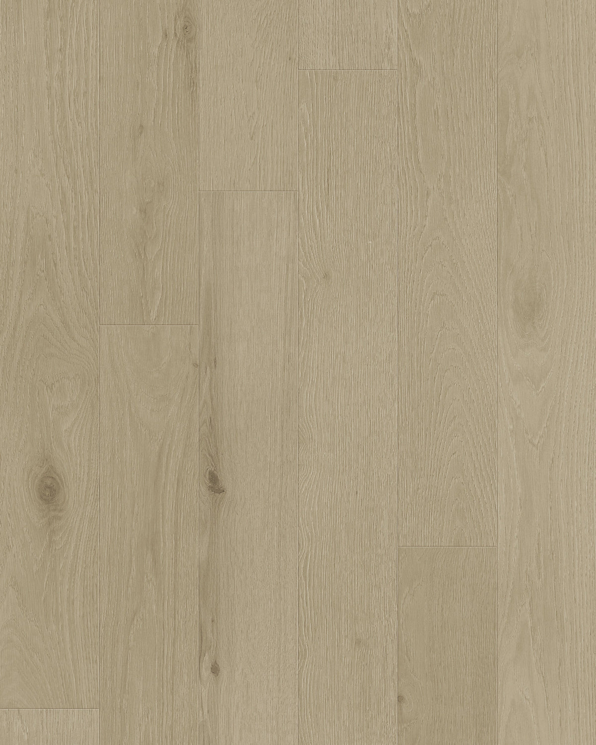 Oyster Engineered Hardwood Flooring - TCN101