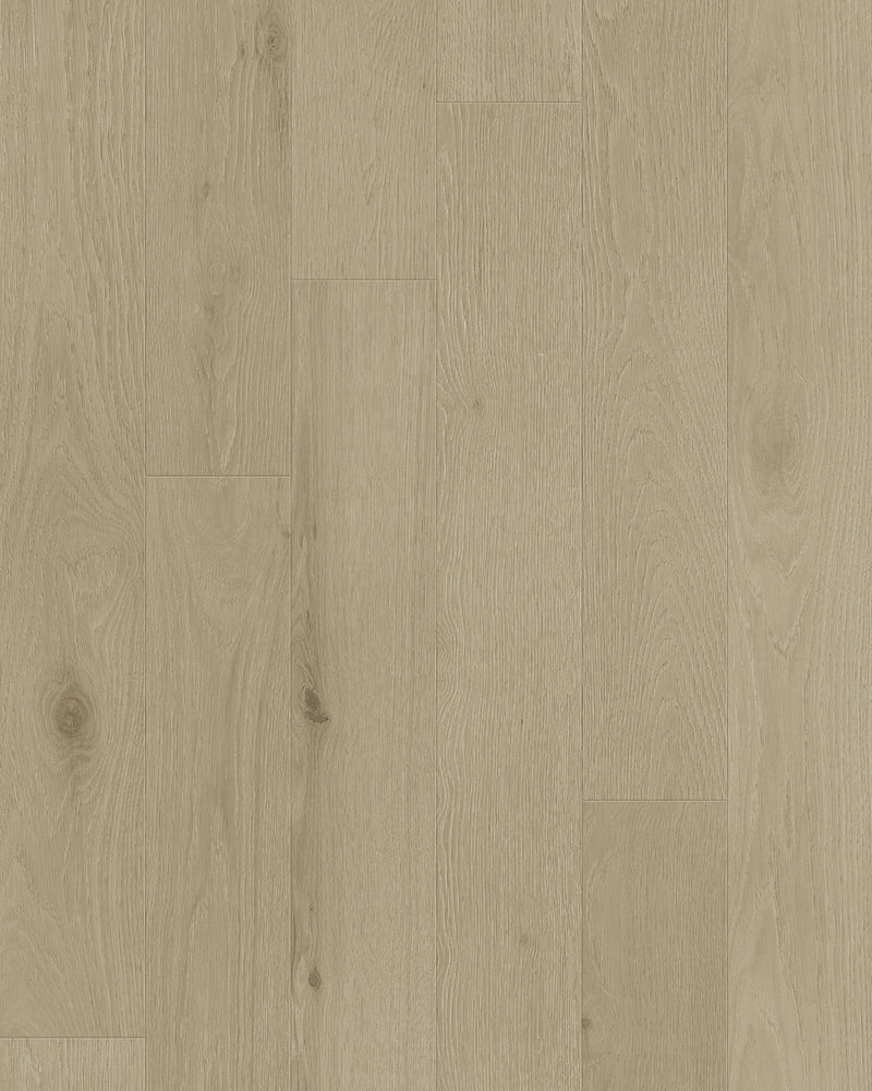Oyster Engineered Hardwood Flooring - TCN101