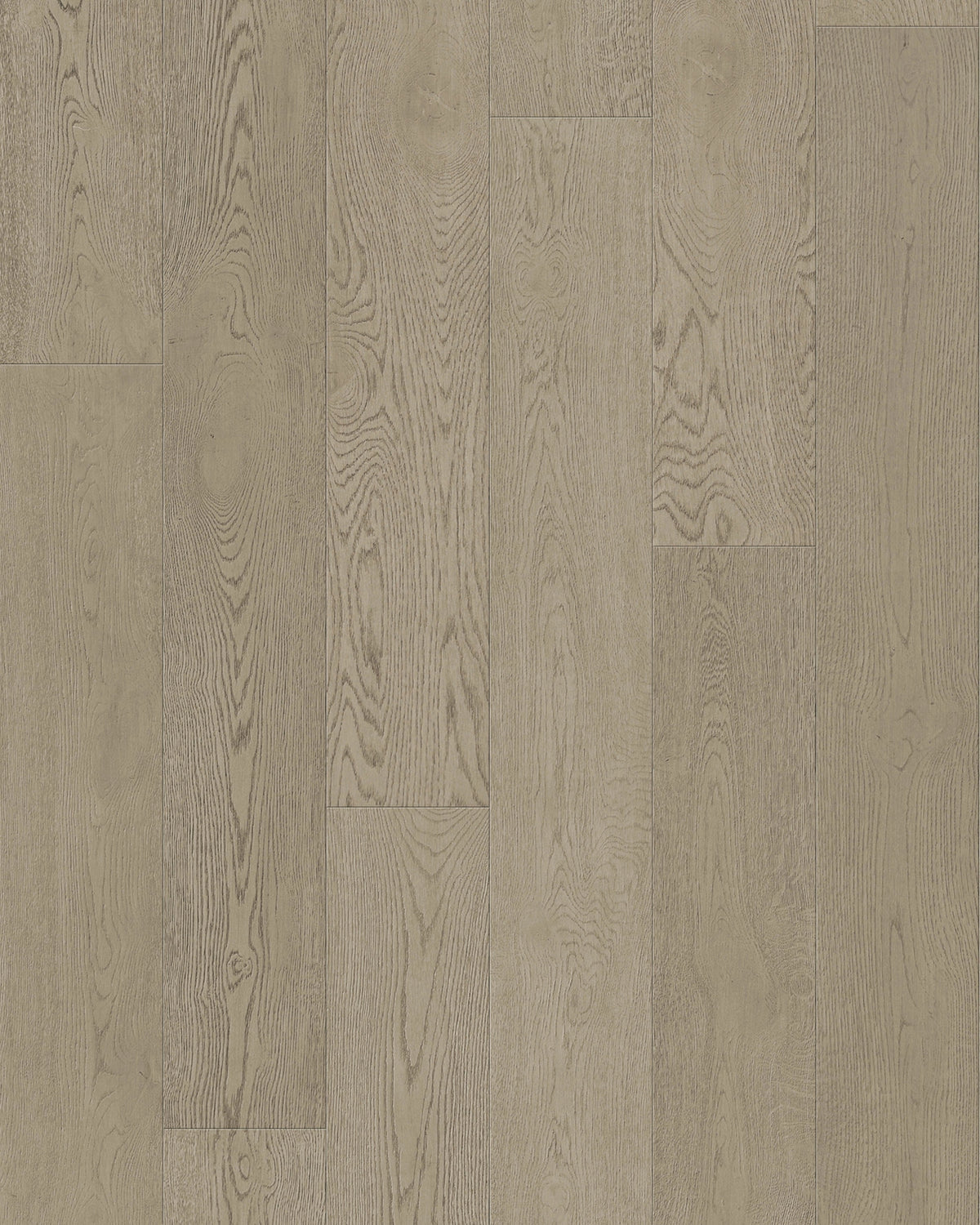 Cashmere Engineered Hardwood Flooring - TCN205