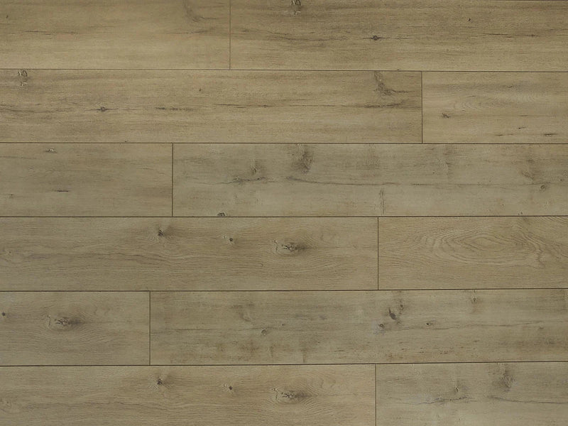 Shore Laminate Flooring - TF6301-F