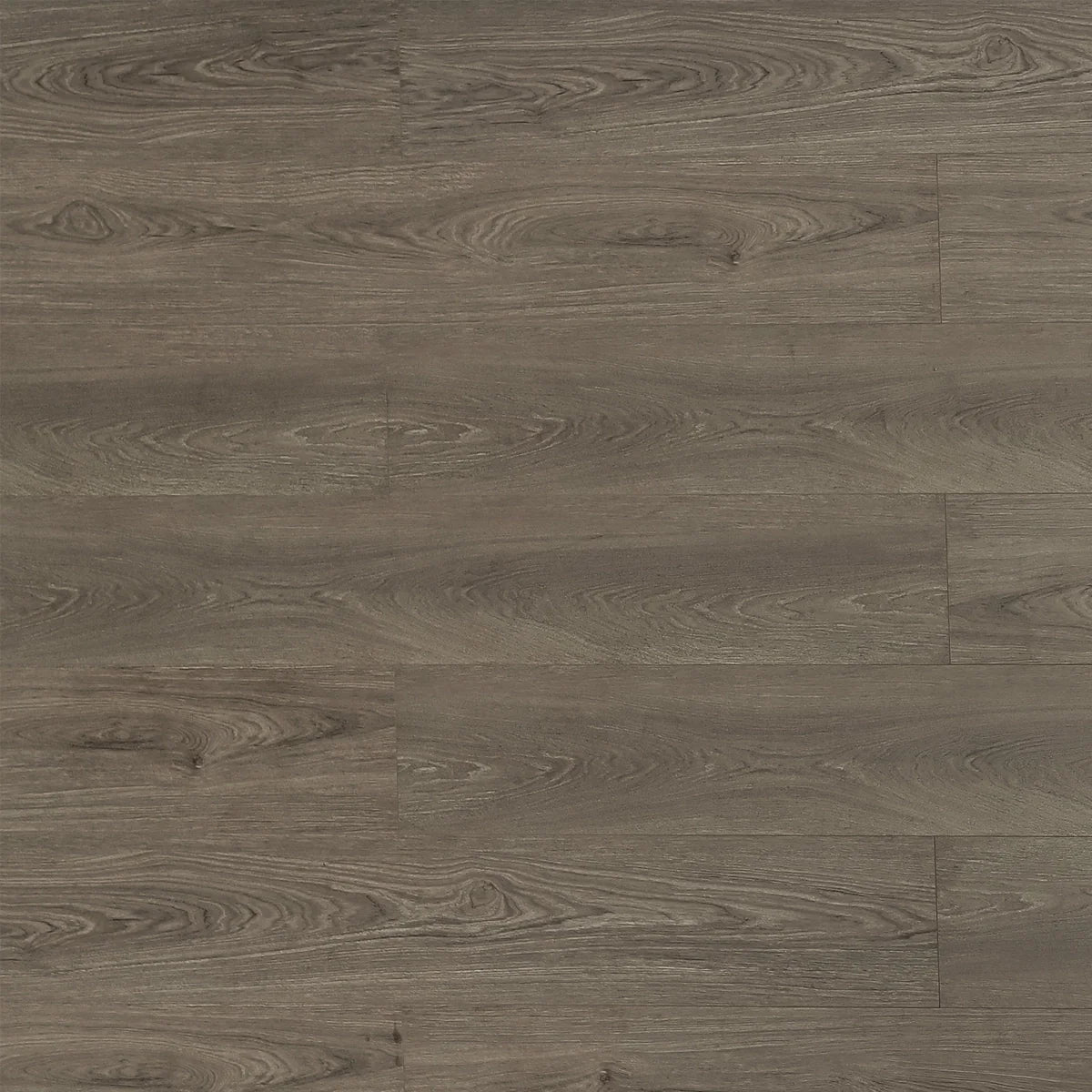 Beaver Laminate Flooring - TF8302-F