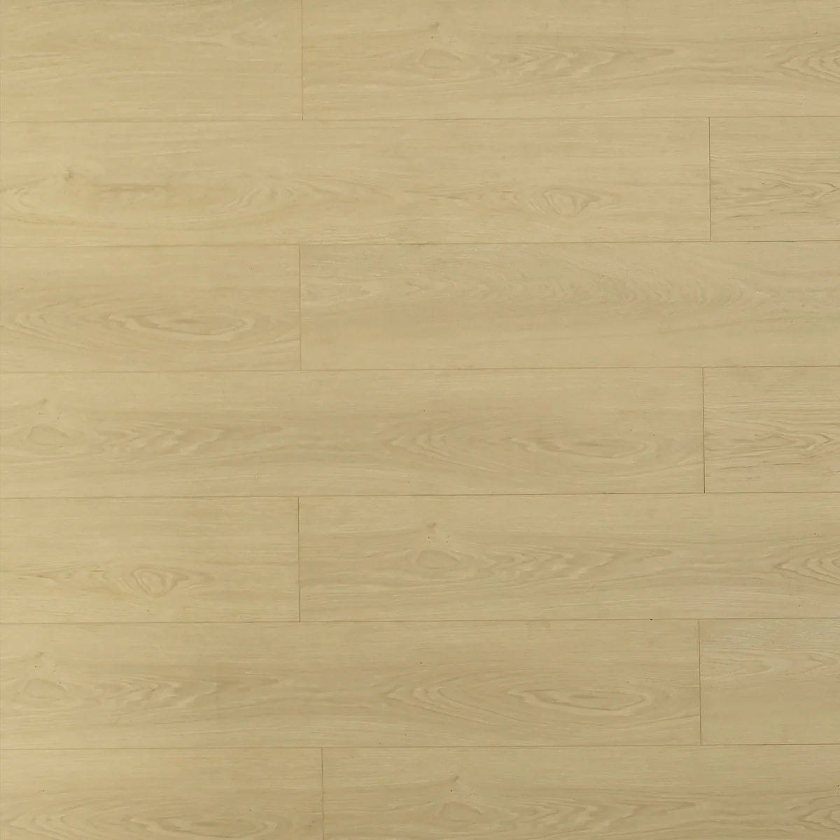 Caribou Laminate Flooring - TF8303-F