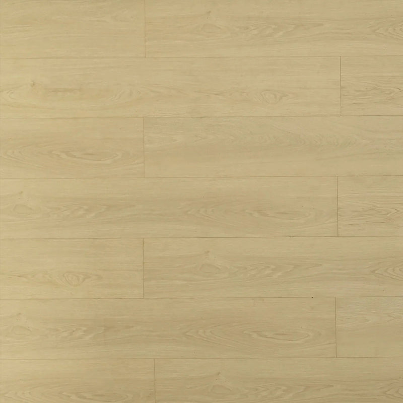Caribou Laminate Flooring - TF8303-F