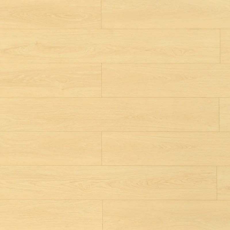Pika Laminate Flooring - TF8304-F