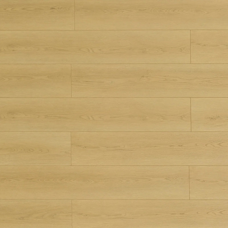 Prairie Dog Laminate Flooring - TF8307-F